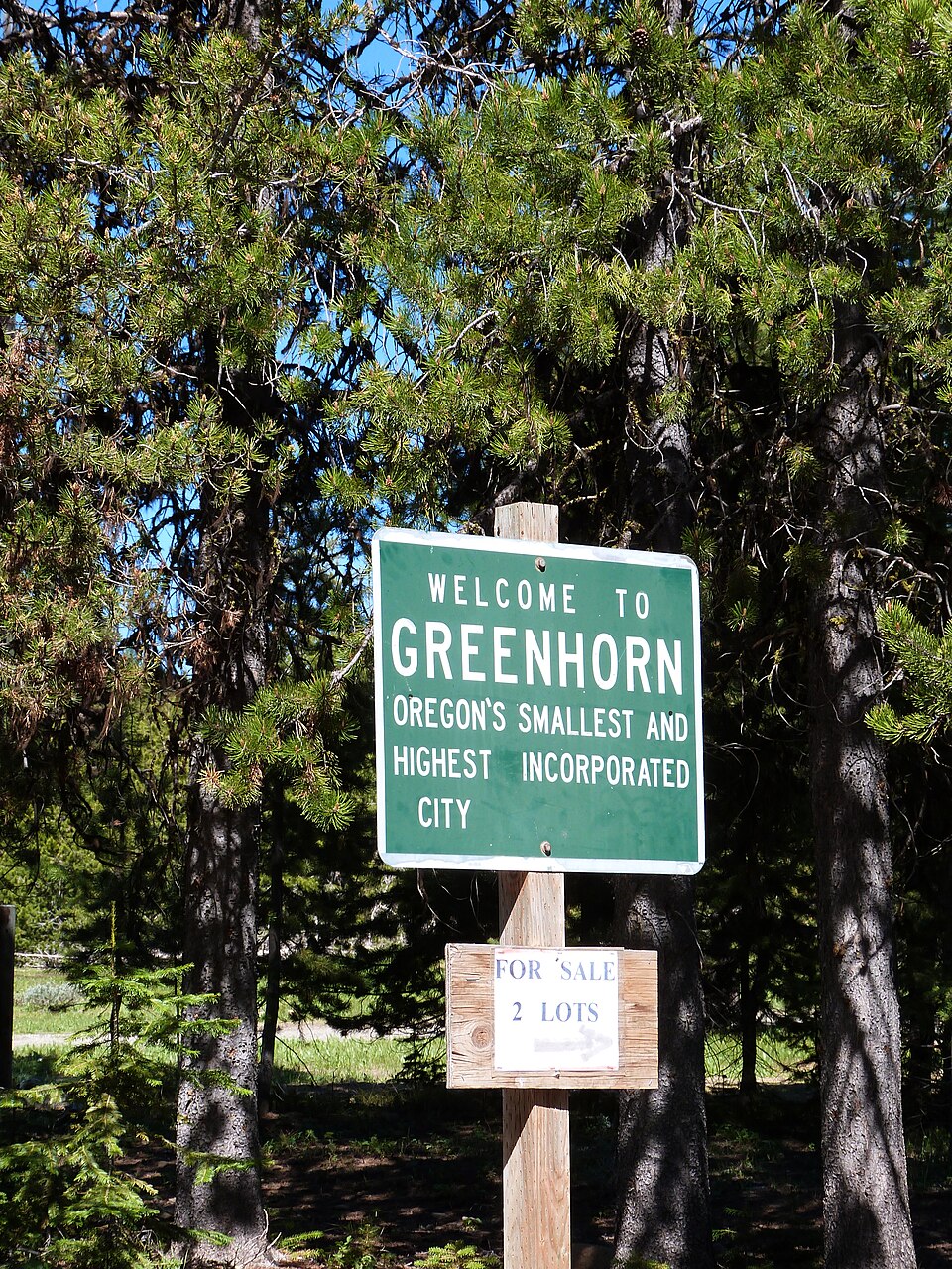 Greenhorn
