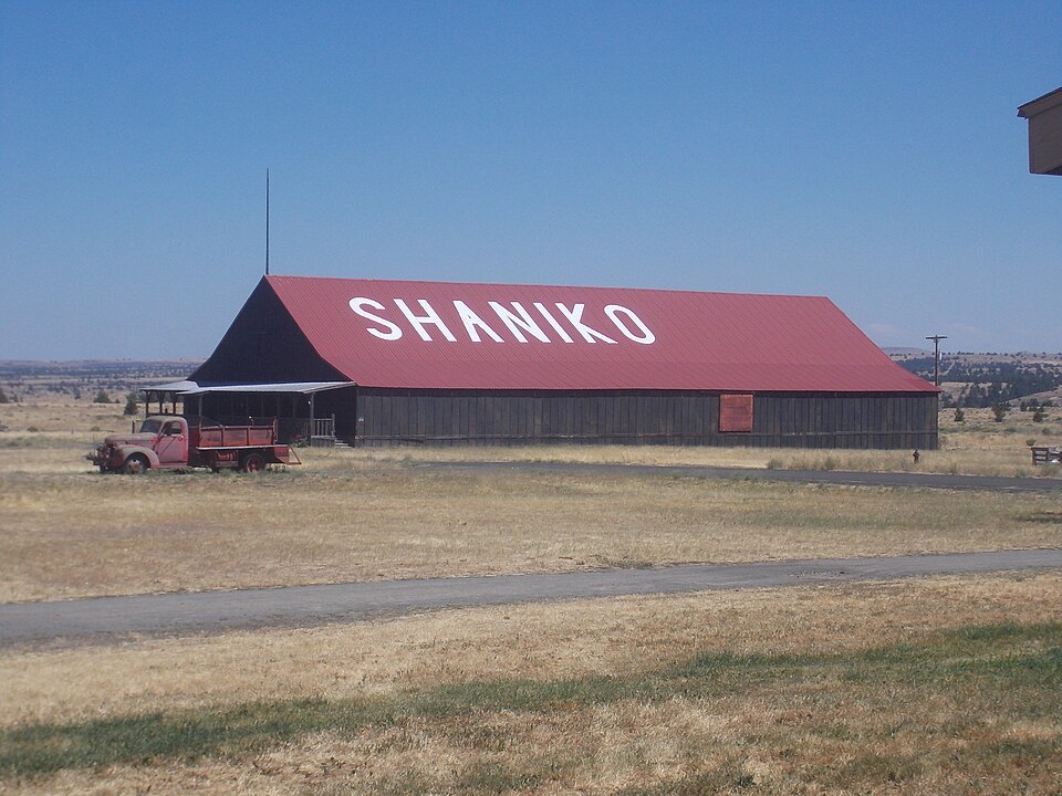 Shaniko